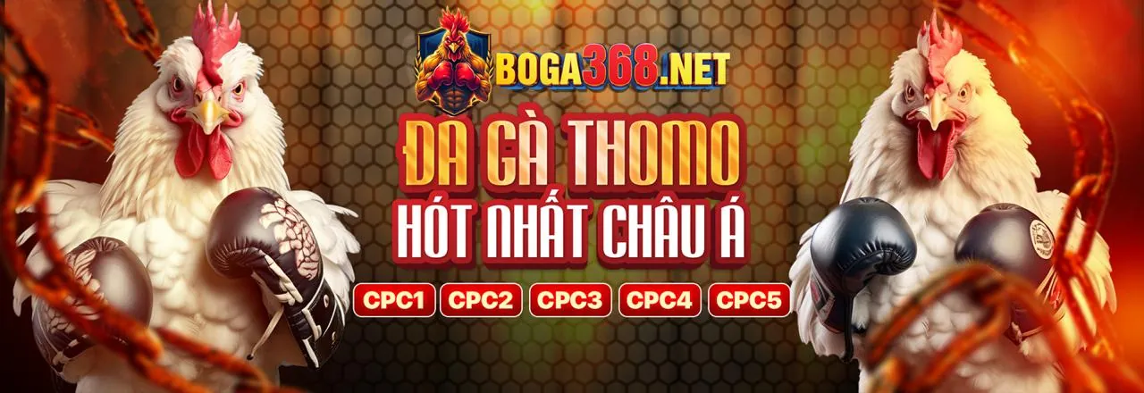 Đá gà TA 88 - Sân đấu trực tuyến đỉnh cao
